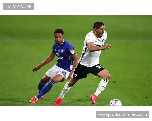 卡迪夫城俱乐部宣布引援新计划 聚焦年轻球员发展与战术革新