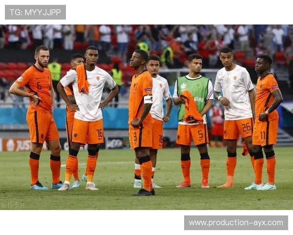 荷兰世界杯征程回顾与辉煌瞬间全面解析